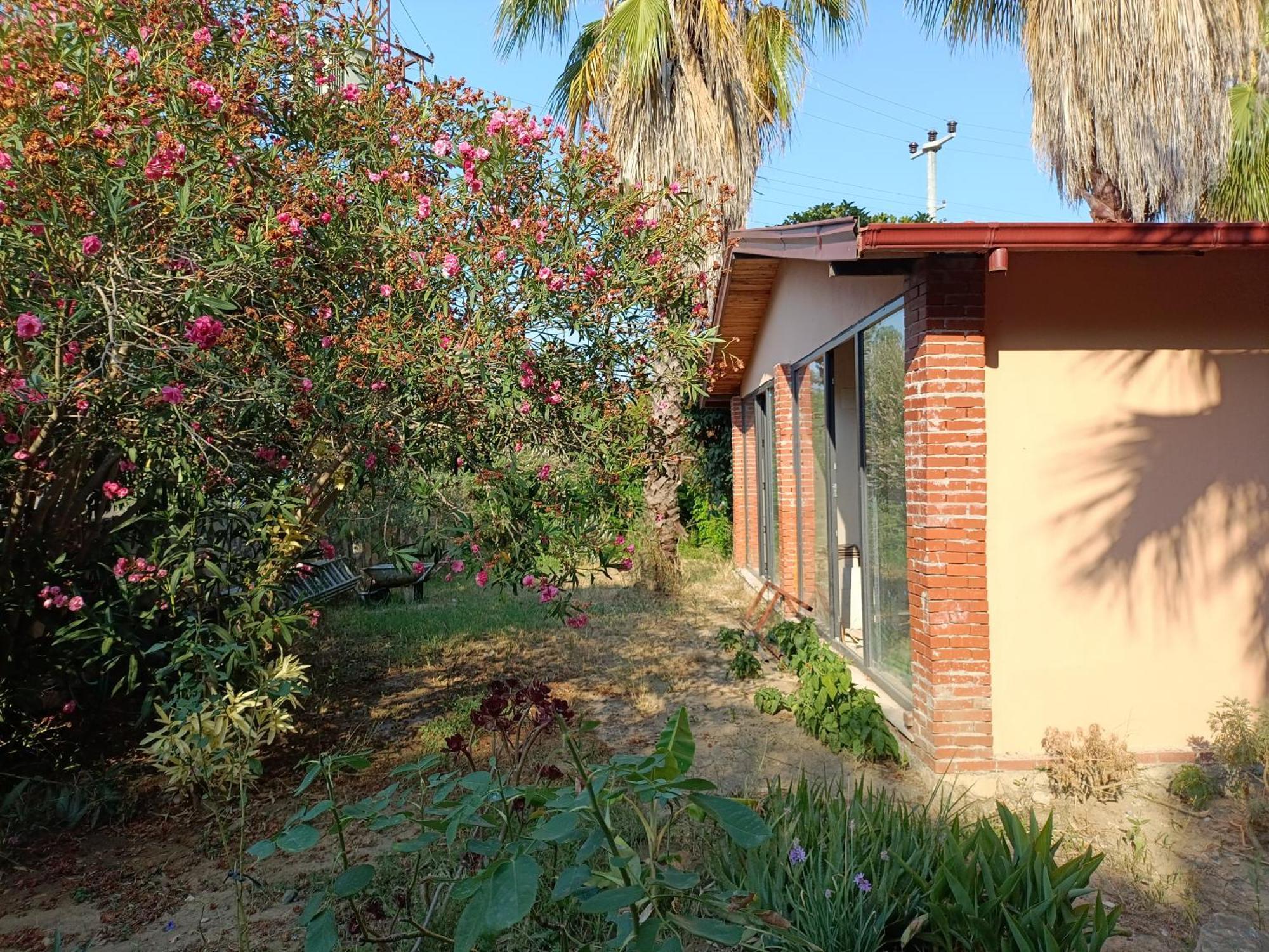 The Palm Apart Sarigerme Exterior photo